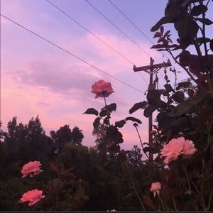 Meet your Posher, Kaiyah